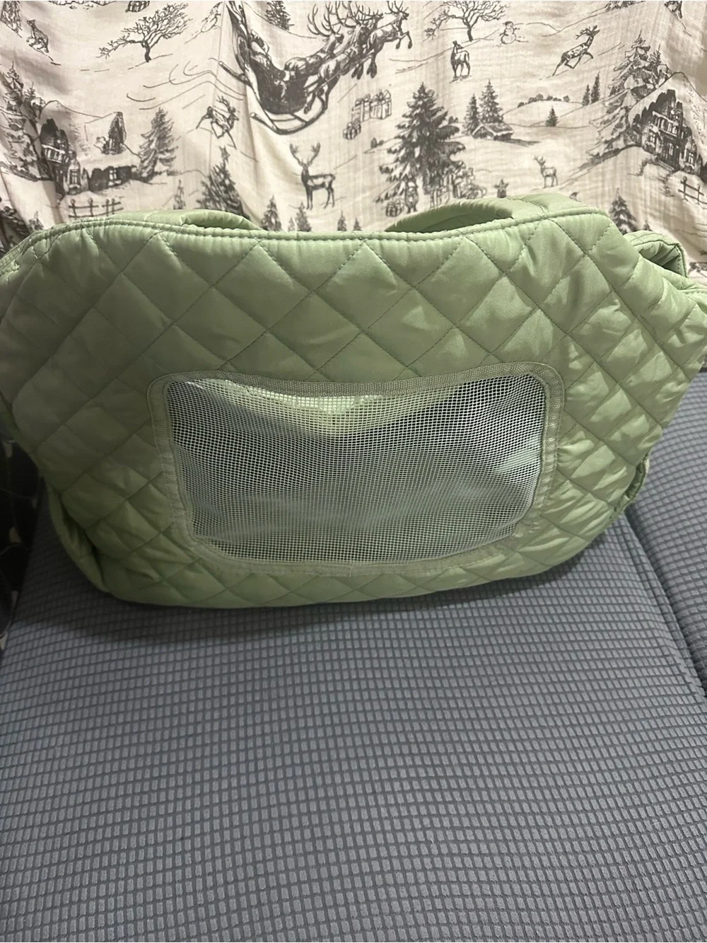 Bed Tote Pet Carrier - Dog Carrier, max 20 lbs, Green